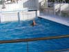 Armonia 45